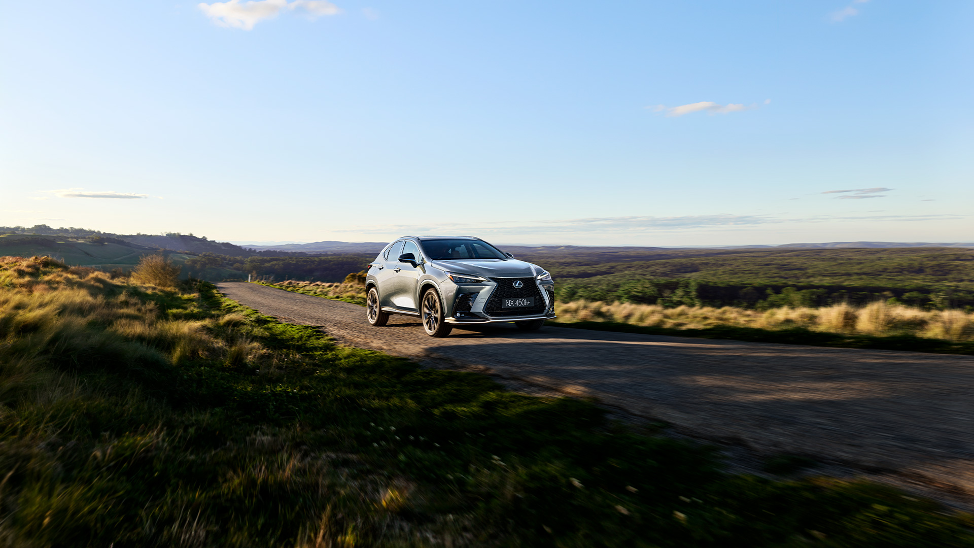 NX 450h+